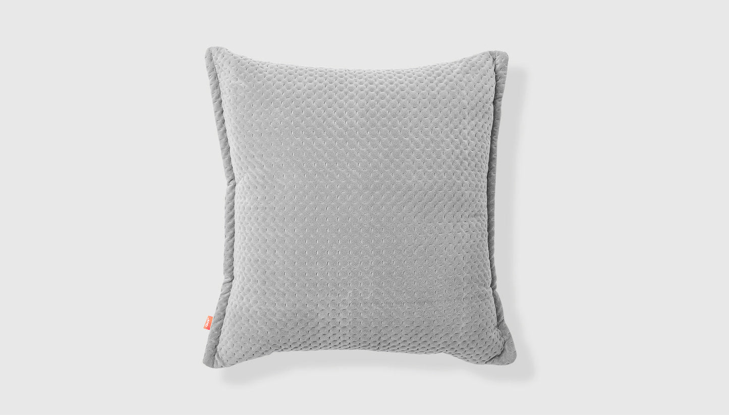 Ravi Pillow